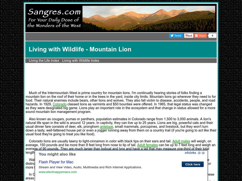 Sangres: Living With Wildlife Mountain Lion Handout Sangres: Living With Wildlife Mountain Lion Handout