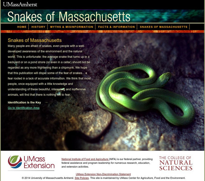 University of Massachusetts Amherst: Snakes of Massachusetts Website University of Massachusetts Amherst: Snakes of Massachusetts Website