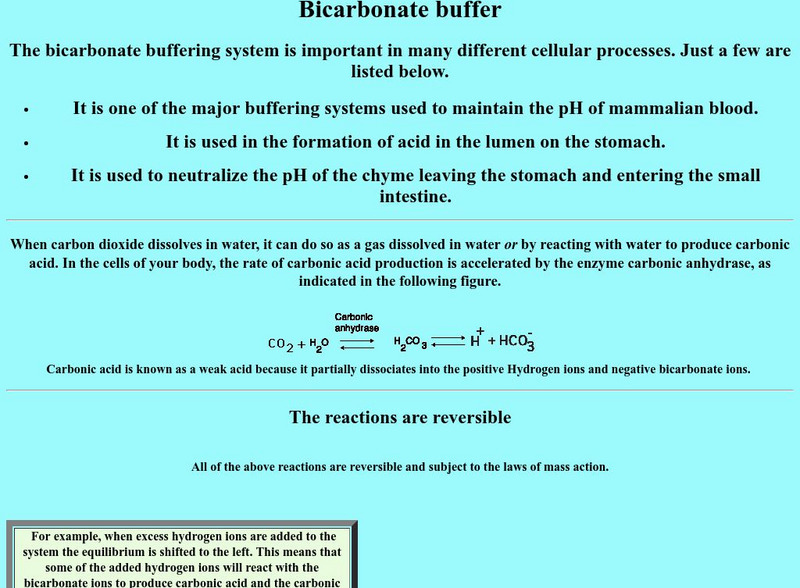 Brooklyn College: Bicarbonate Buffer Handout Brooklyn College: Bicarbonate Buffer Handout