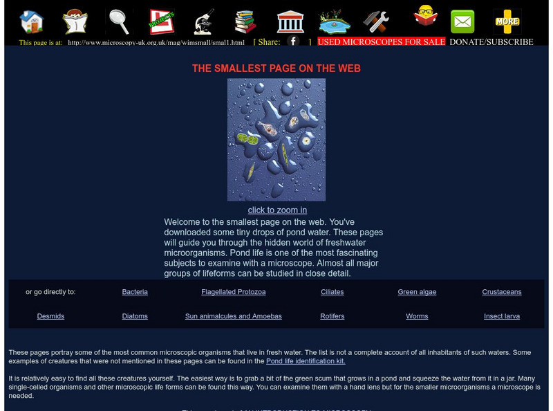 Microscopy Uk: The Smallest Page on the Web Handout Microscopy Uk: The Smallest Page on the Web Handout