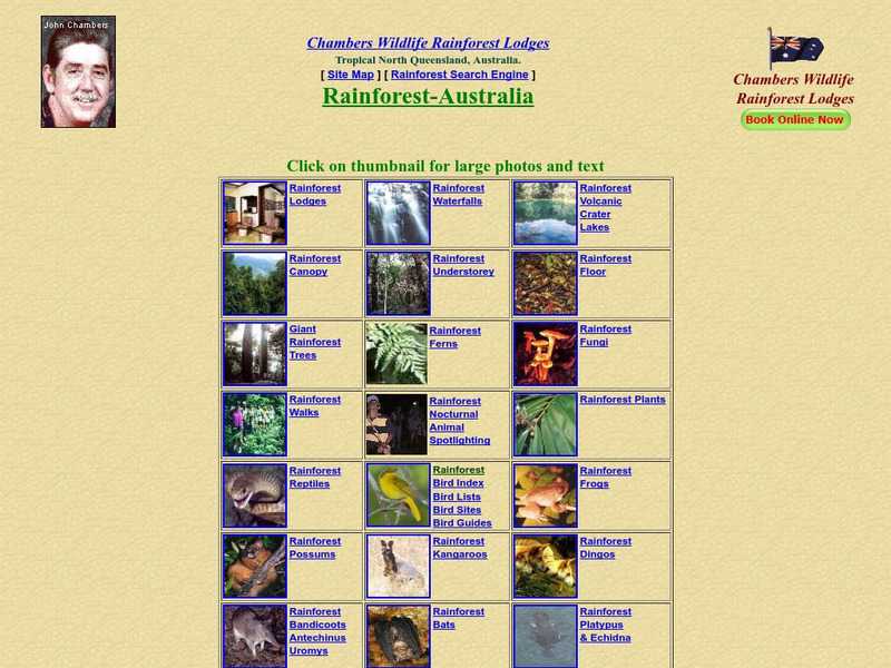 Chambers Wildlife Rainforest Lodge: Australia Rainforest Website Chambers Wildlife Rainforest Lodge: Australia Rainforest Website