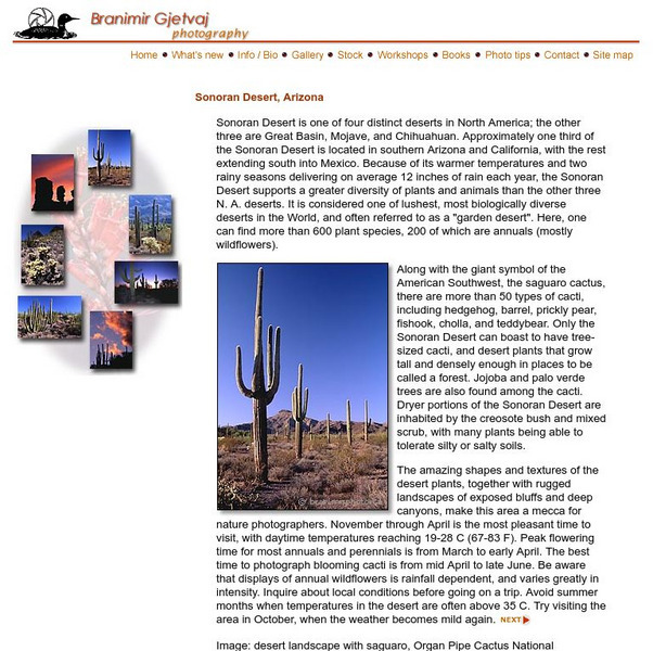 Branimir Gjetvaj: Sonoran Desert, Arizona Handout Branimir Gjetvaj: Sonoran Desert, Arizona Handout