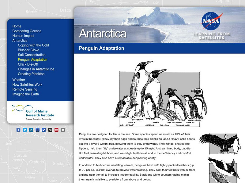 Gulf of Maine Aquarium: Antarctica: Penguin Adaptation Activity Gulf of Maine Aquarium: Antarctica: Penguin Adaptation Activity