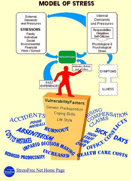 Model of Stress: Stress Website Model of Stress: Stress Website