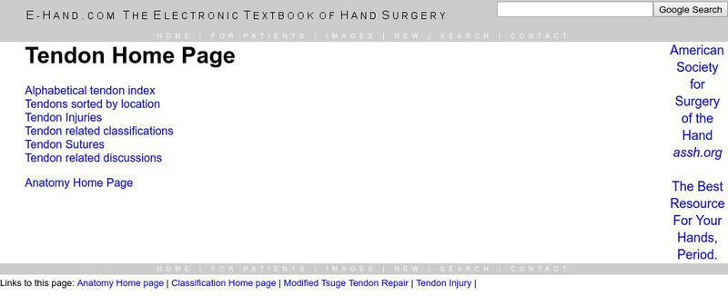 E Hand: Tendons Handout E Hand: Tendons Handout