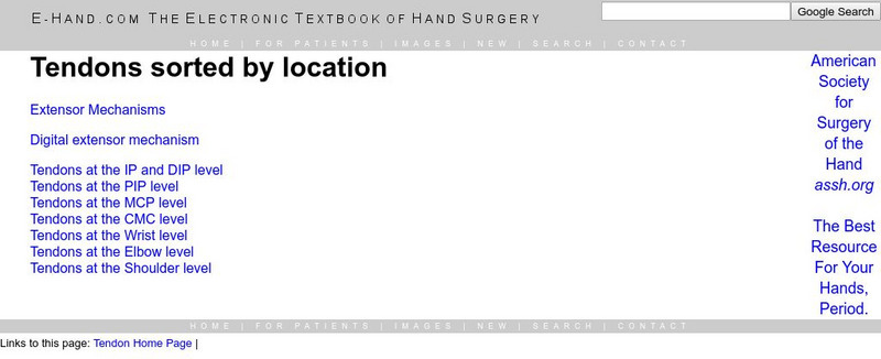 E Hand: Tendon Location Handout E Hand: Tendon Location Handout