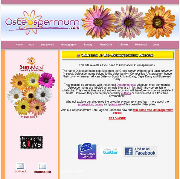 Osteospermum.com Website Osteospermum.com Website
