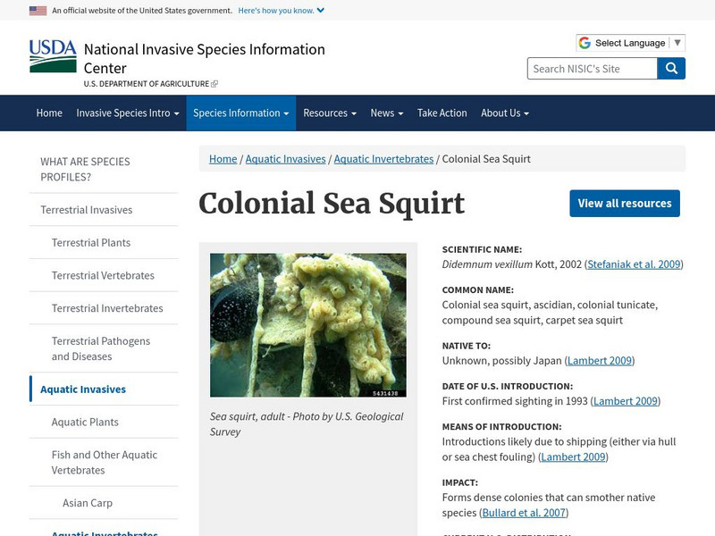 Tunicates or 'Sea Squirts" Instructional Video