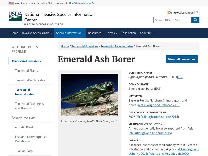 Invasive Species: Emerald Ash Borer Instructional Video