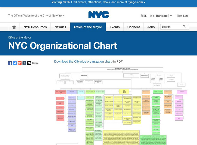 Nyc Organization Chart Graphic Nyc Organization Chart Graphic