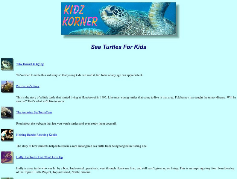 Kidz Korner: Sea Turtles for Kids Activity Kidz Korner: Sea Turtles for Kids Activity