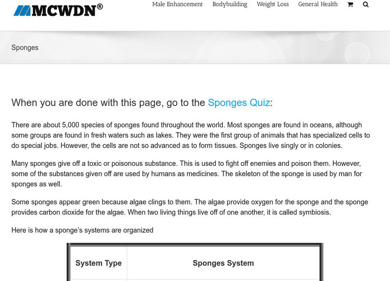 Mcwdn: Sponges Activity Mcwdn: Sponges Activity
