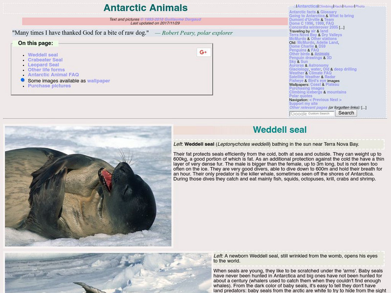 Antarctic Animals: Leopard Seals Website
