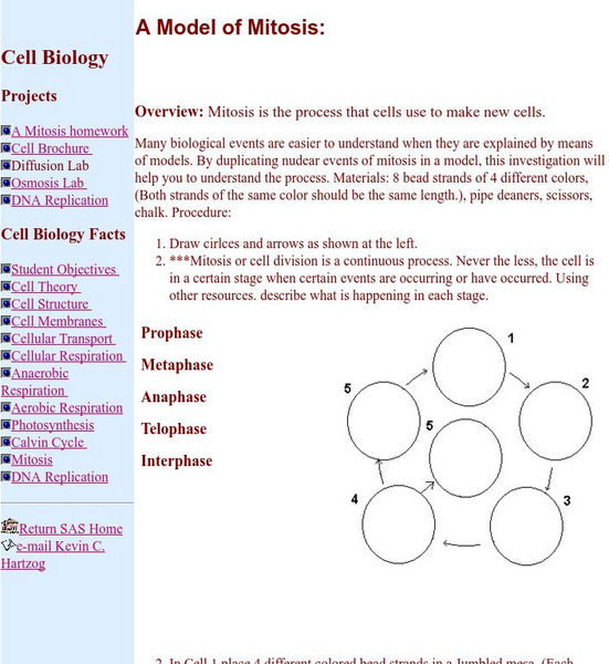 A Model of Mitosis Handout A Model of Mitosis Handout