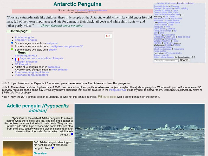 Antarctic Penguins: Adelie and Emperor Penguins Handout Antarctic Penguins: Adelie and Emperor Penguins Handout