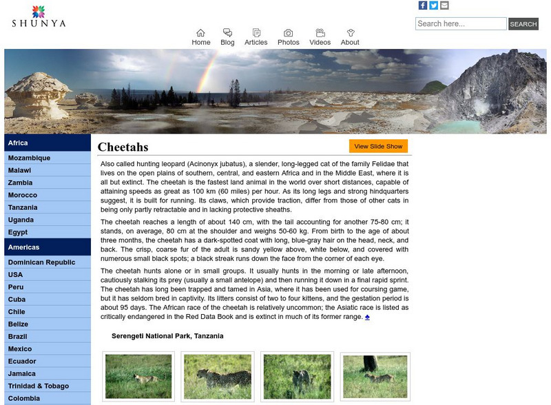 Shunya's Site: Cheetah Handout Shunya's Site: Cheetah Handout