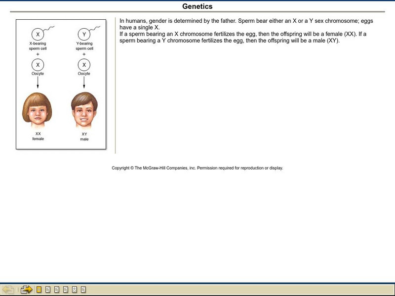 The Mc Graw Hill Companies, Inc.: Genetics Handout The Mc Graw Hill Companies, Inc.: Genetics Handout