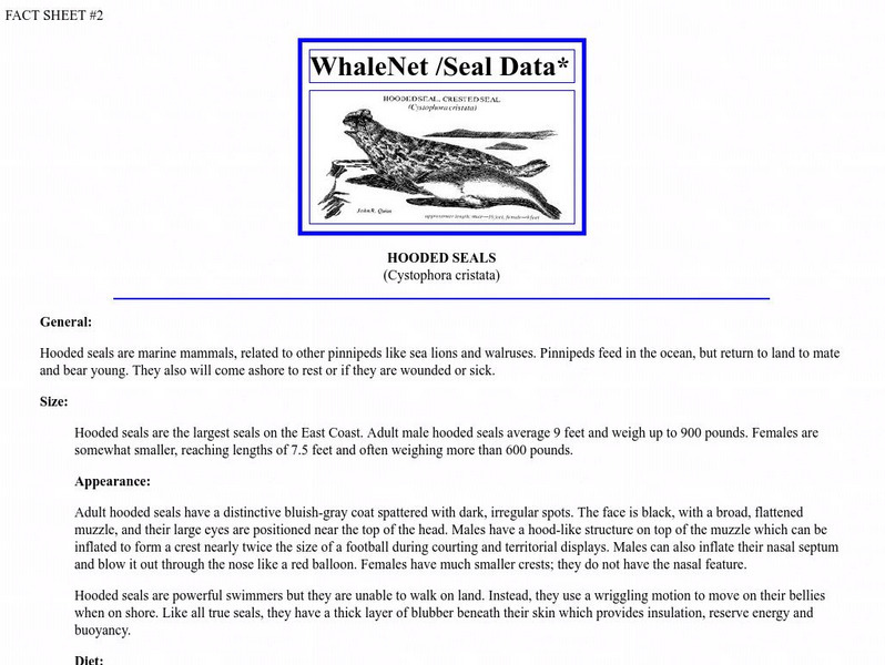 Wheelock College: Hooded Seals Handout Wheelock College: Hooded Seals Handout