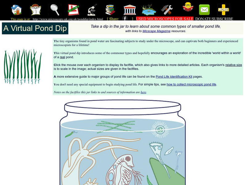 Microscopy Uk: A Virtual Pond Dip Interactive Microscopy Uk: A Virtual Pond Dip Interactive
