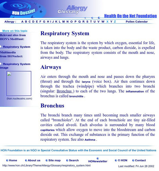 Allergy Glossary Handout