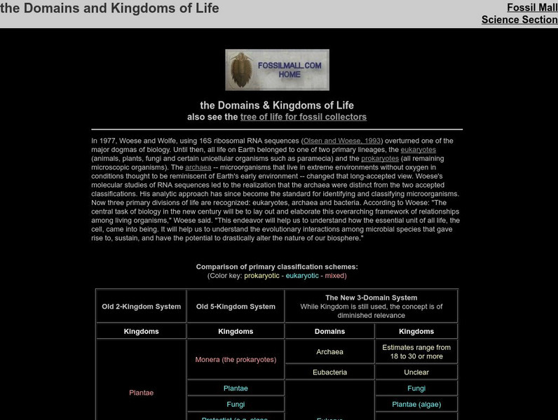 The Domains and Kingdoms of Life Handout
