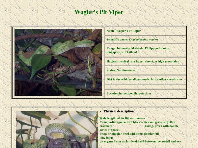 Wagler's Pit Viper Handout Wagler's Pit Viper Handout