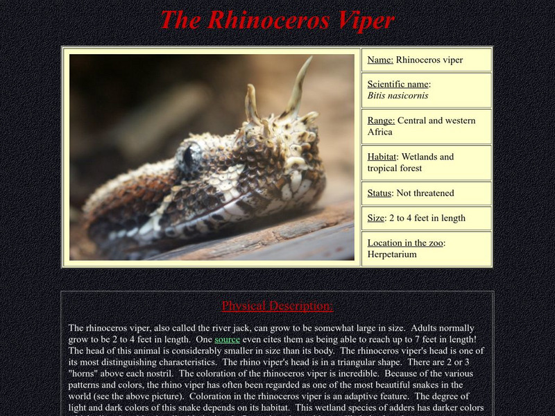 Who Zoo: Rhinoceros Viper Handout Who Zoo: Rhinoceros Viper Handout