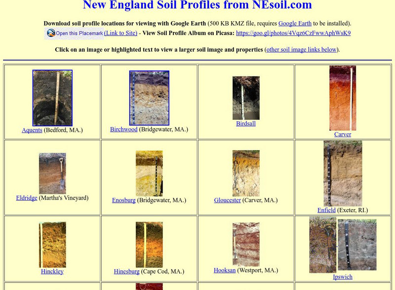 New England Soil Profiles Graphic New England Soil Profiles Graphic
