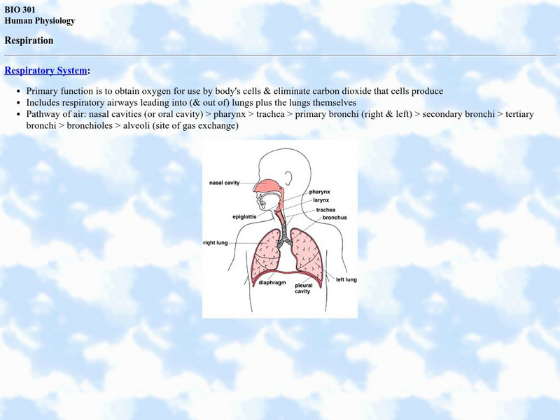 Gary Ritchison: The Respiratory System Instructional Video