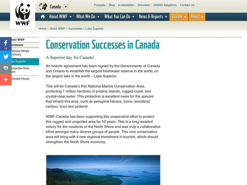 Wwf: Conservation Programs ~ Forests and Freshwater Website Wwf: Conservation Programs ~ Forests and Freshwater Website