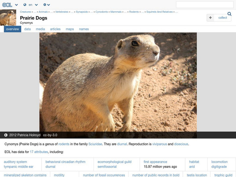 Encyclopedia of Life: Prairie Dogs Handout Encyclopedia of Life: Prairie Dogs Handout