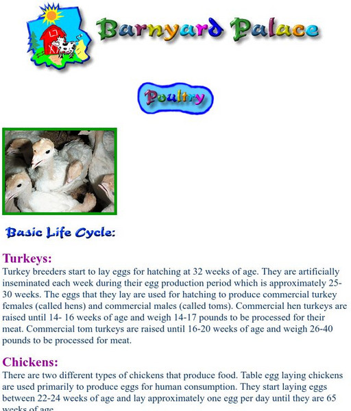 Barnyard Palace : Poultry Handout Barnyard Palace : Poultry Handout