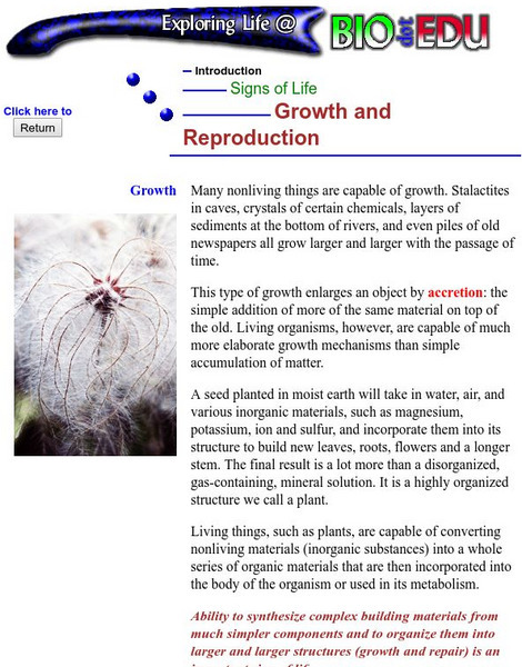 Brooklyn College: Growth and Reproduction Handout Brooklyn College: Growth and Reproduction Handout