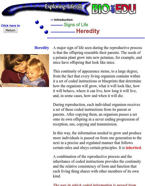 Brooklyn College: Heredity Handout Brooklyn College: Heredity Handout