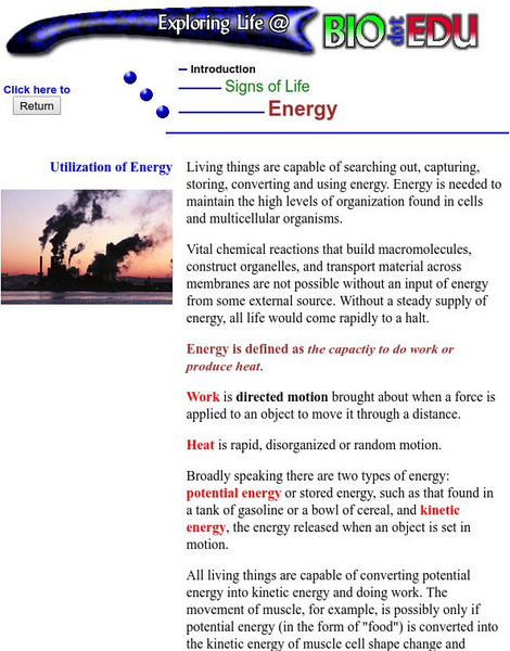 Energy: Characteristics of Life Handout Energy: Characteristics of Life Handout