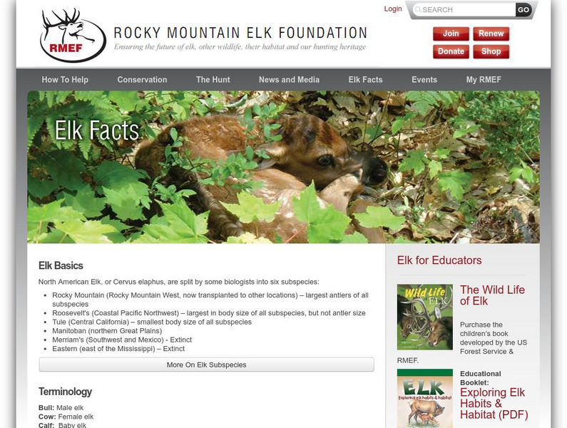 Elk Facts Handout Elk Facts Handout