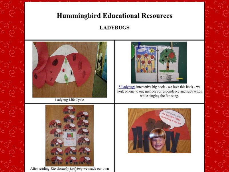 Hummingbird Educational Resources: Ladybugs and Insects Activity Hummingbird Educational Resources: Ladybugs and Insects Activity