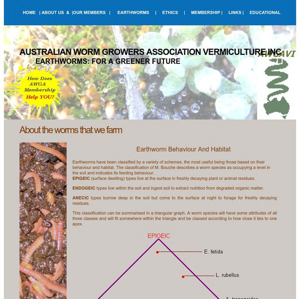 Earthworm Behaviour and Habitat Handout Earthworm Behaviour and Habitat Handout