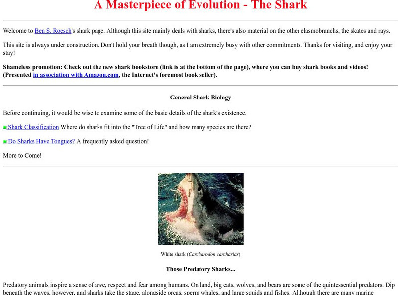 Sharks: A Masterpiece of Evolution Website