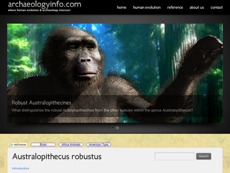 Archaeology.info: Australopithecus Robustus Website
