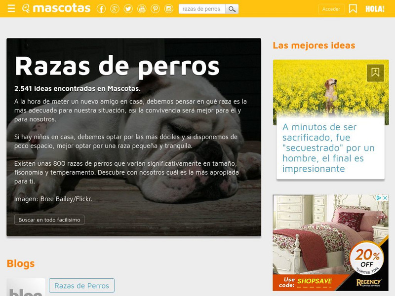 Facilisimo: Mascotas: Razas De Perros Website Facilisimo: Mascotas: Razas De Perros Website