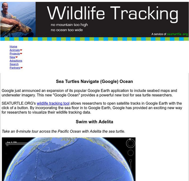 Google: Wildlife Tracking Interactive