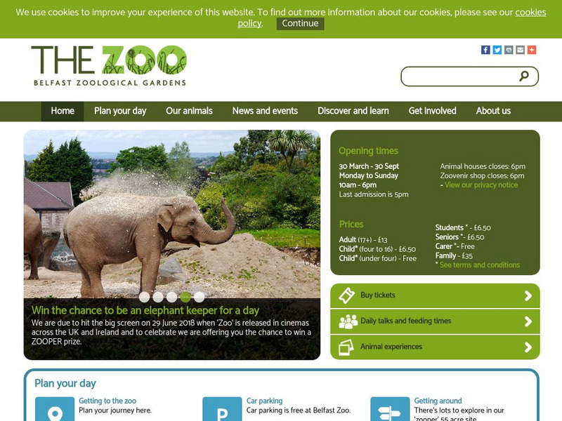 Belfast Zoo, Northern Ireland Website Belfast Zoo, Northern Ireland Website