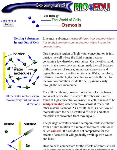 The World of Cells: Osmosis Handout The World of Cells: Osmosis Handout