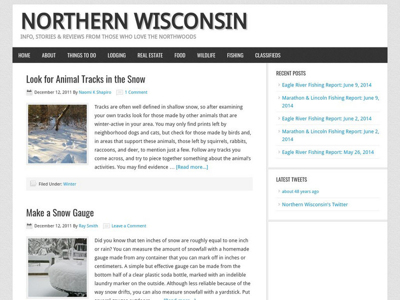 Northern Wisconsin Tourism: Current Information Activity