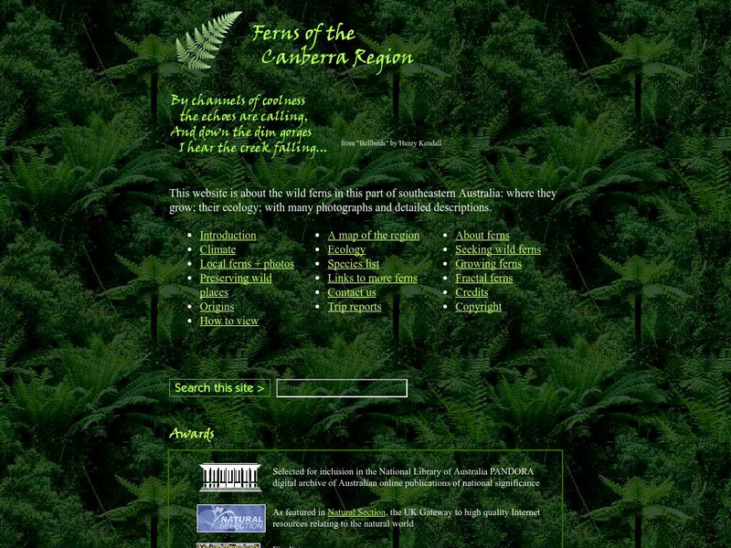 Byzantium: Ferns of the Canberra Region Handout Byzantium: Ferns of the Canberra Region Handout