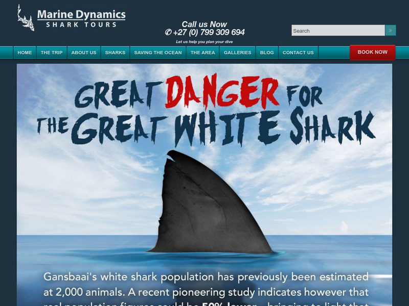 Shark Watch: The Great Danger for the Great White Shark Graphic Shark Watch: The Great Danger for the Great White Shark Graphic