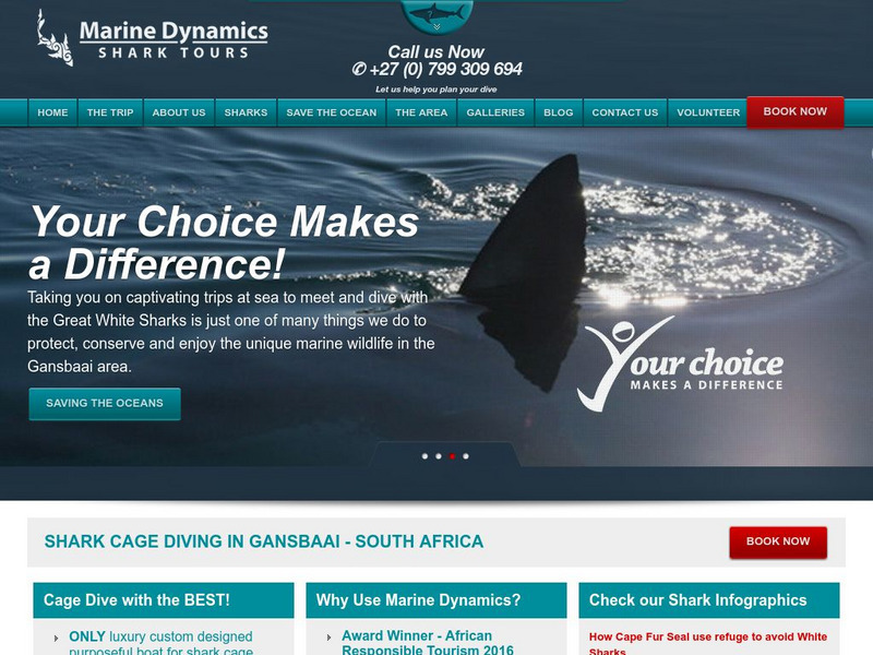 Shark Watch Article Shark Watch Article