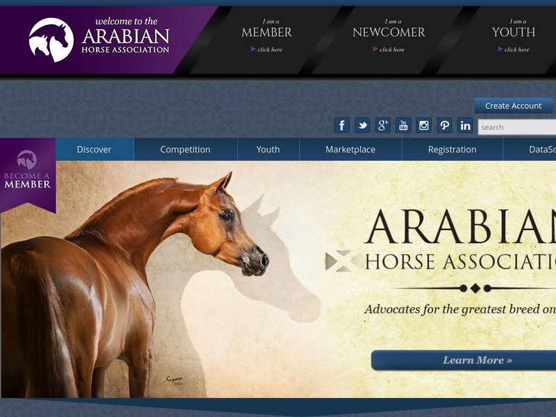 Arabian Horse Association Website Arabian Horse Association Website