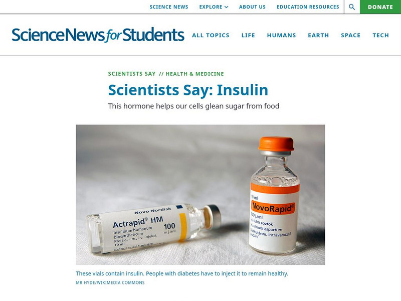 Science News for Students: Scientists Say: Insulin Article Science News for Students: Scientists Say: Insulin Article